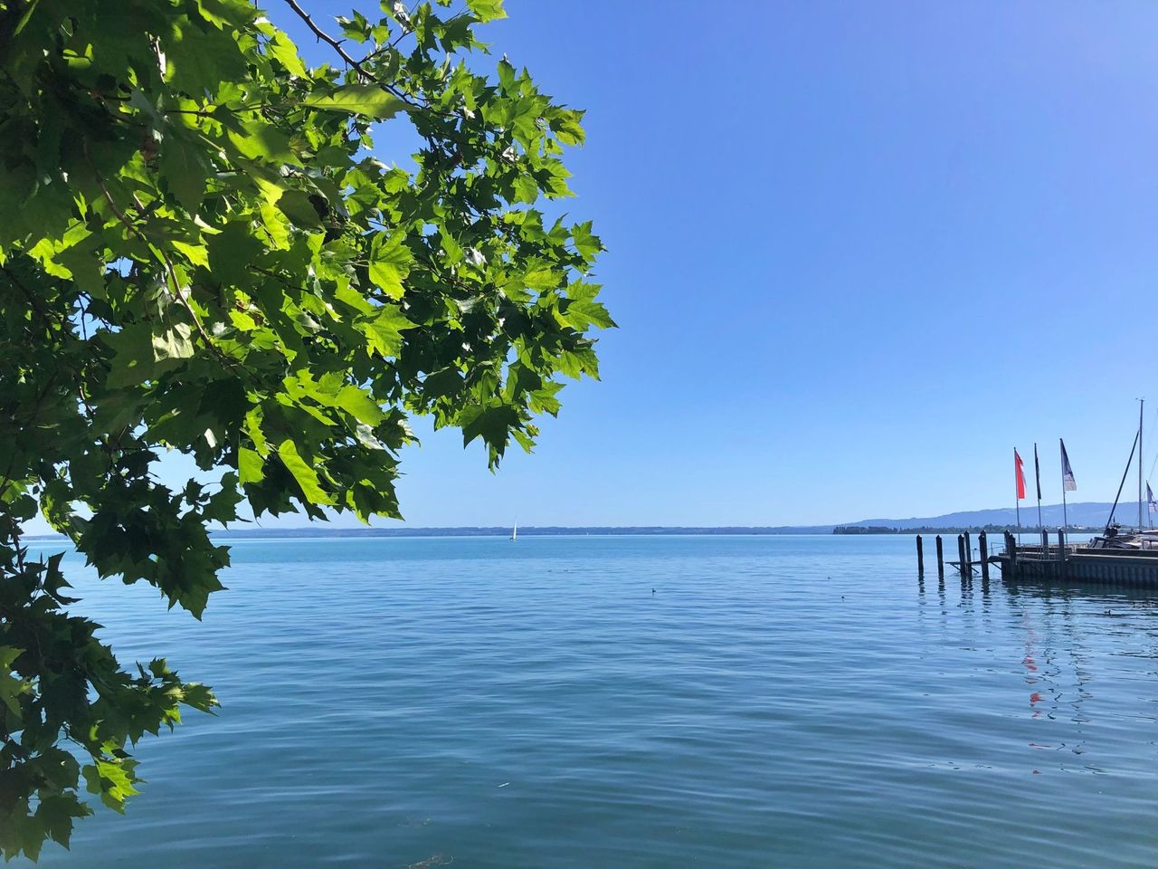 Bodensee Ufer