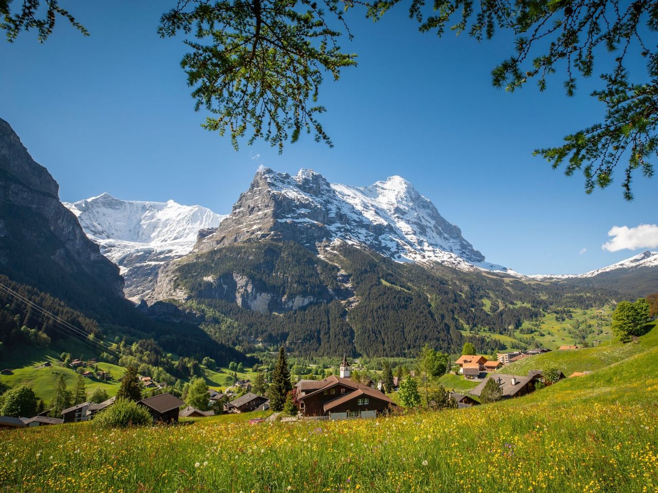 Bus Ticket Grindelwald - Waldspitz
