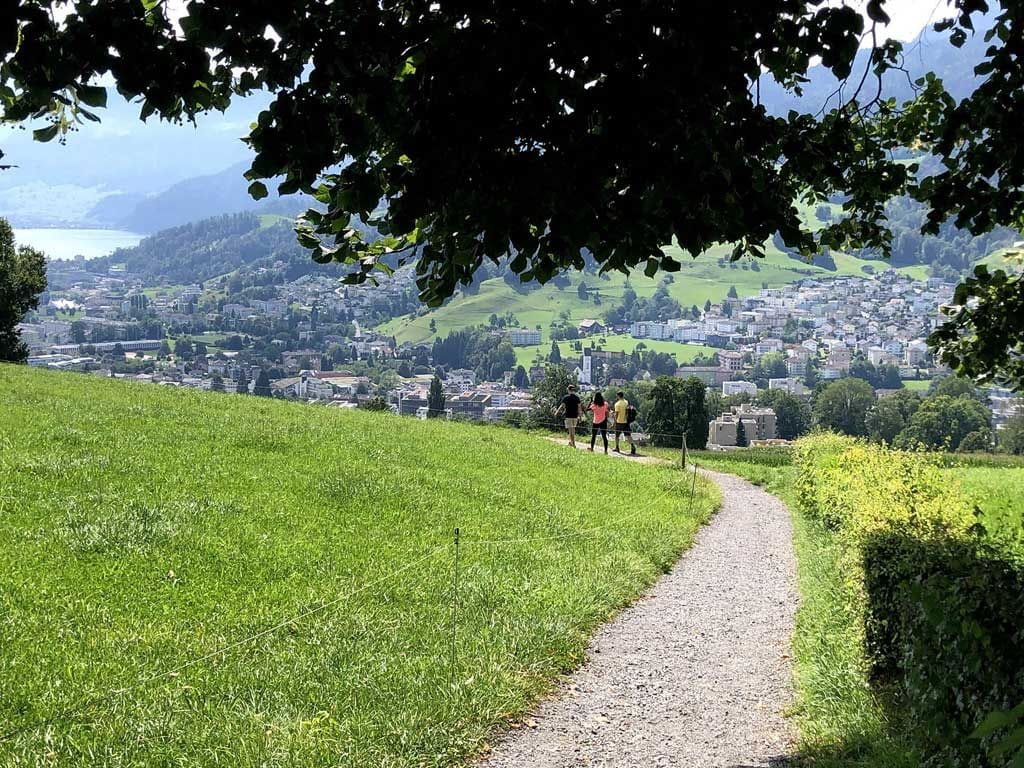 Private farm tour with cheese tasting from Lucerne
