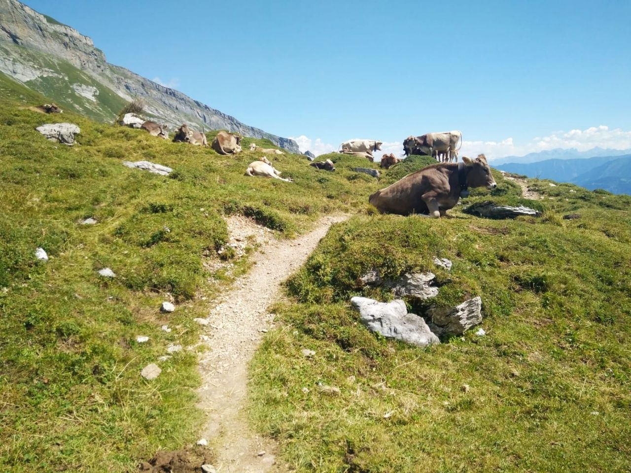Privater Erlebnisaufenthalt in den Bergen ab Flims, Laax oder Falera