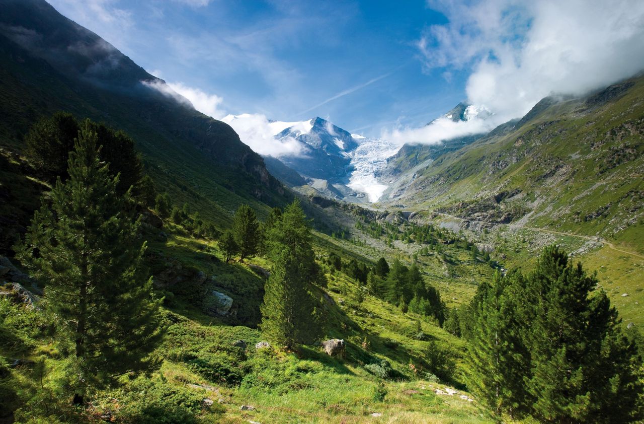 Naturpark Pfyn Finges