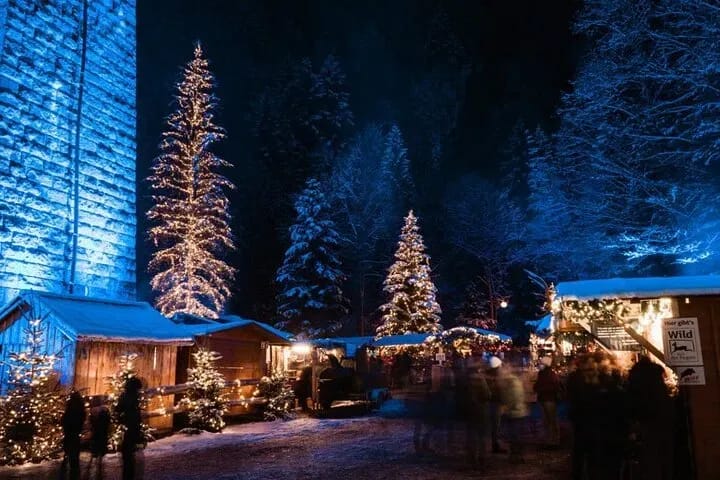 Ab Zürich: Privater Tagesausflug zum Weihnachtsmarkt im Schwarzwald