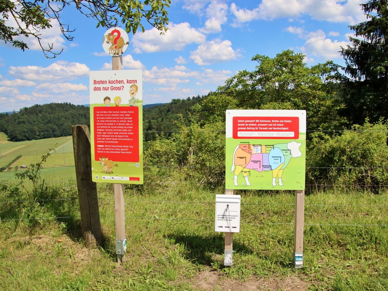 Erlebnisweg “Lea und Ben bei den Mutterkühen” in Freienstein (ZH)