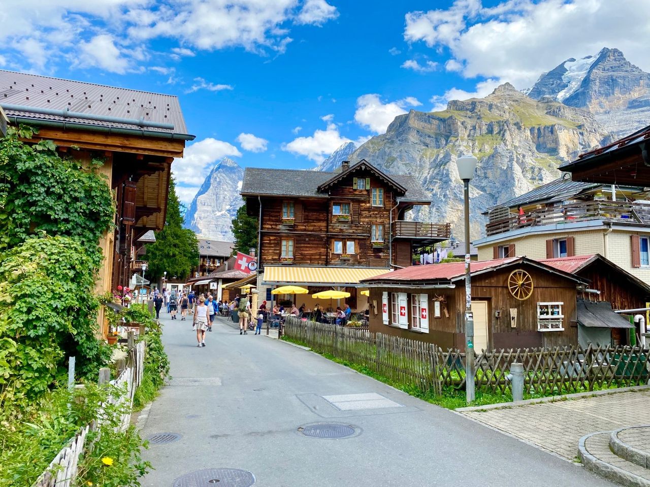 From Zurich: Best of Jungfrau Region Luxury Private Day Tour