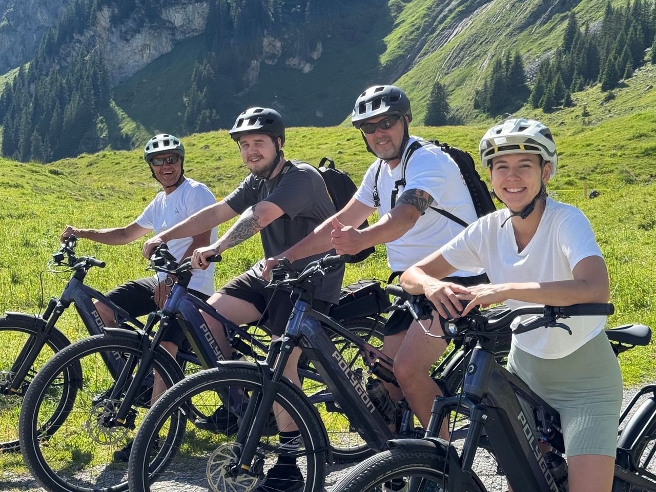 "Engstlenalp, See und Käsedegustation" - Private E-Bike-Tour ab Interlaken