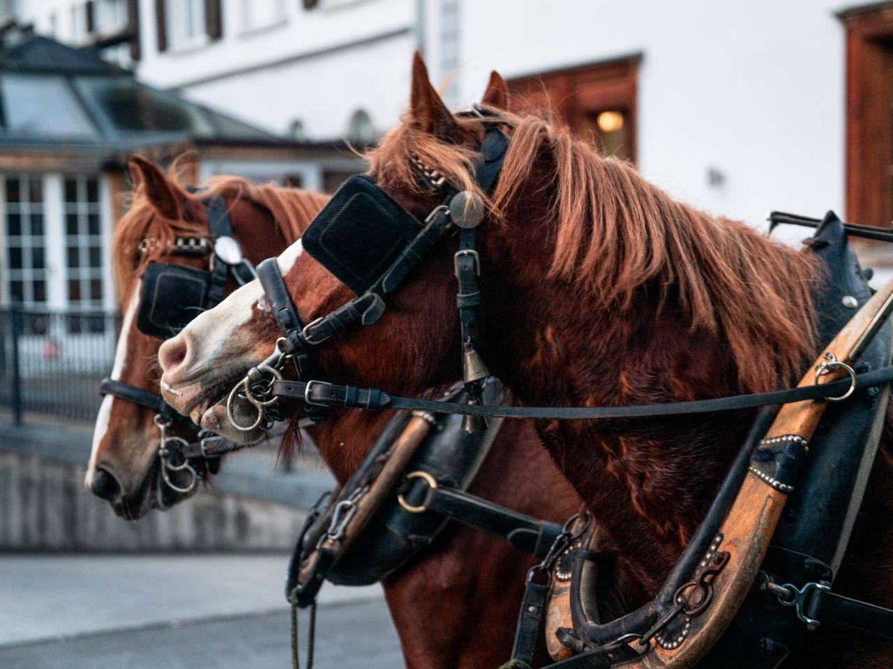 Kutschenfahrt Taminaschlucht und Altes Bad Pfäfers ab Bad Ragaz