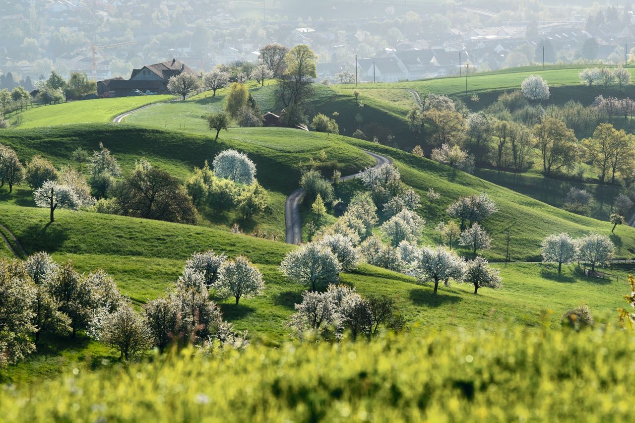 Chriesiweg Jurapark Aargau