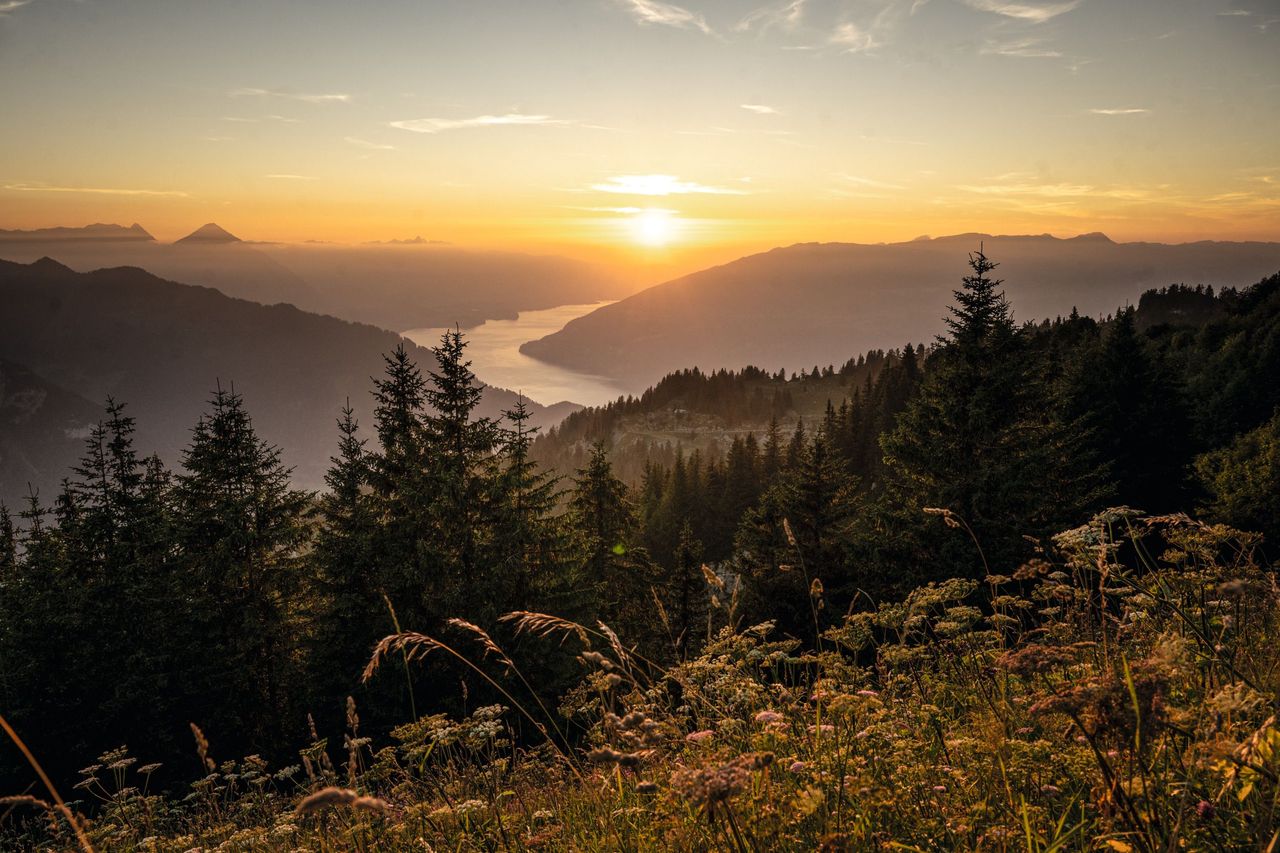 14 Tage Schweiz Schynige Platte