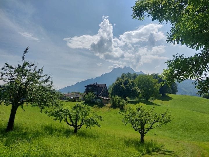 Private panoramic hike on the Horw Peninsula from Lucerne