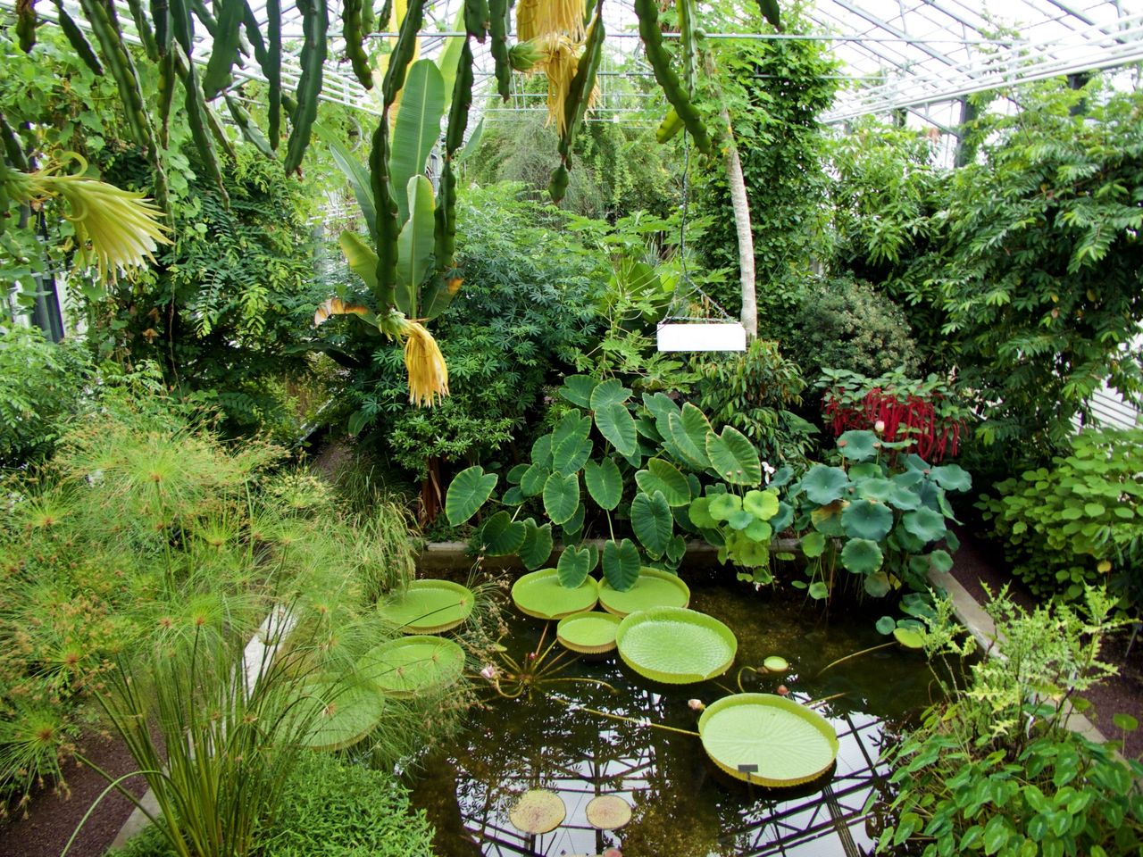 Familie Ausflug Schweiz  Botanischer Garten St.Gallen
