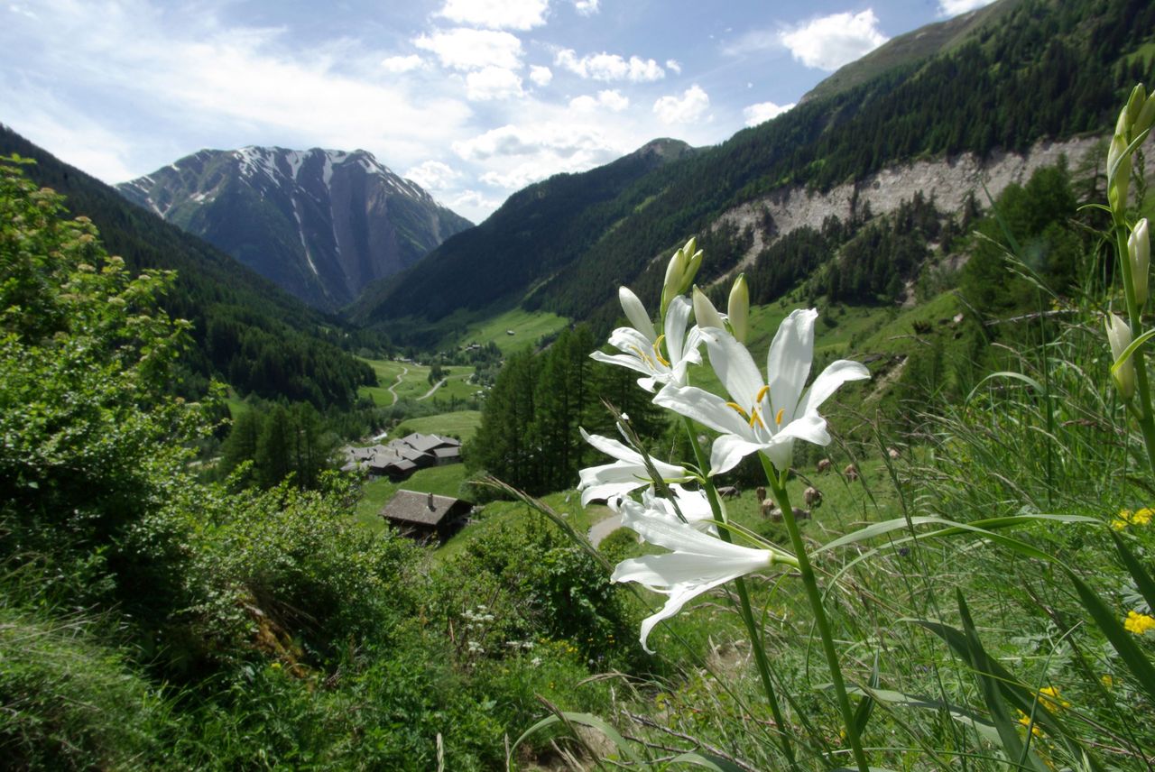 Naturpark Binntal