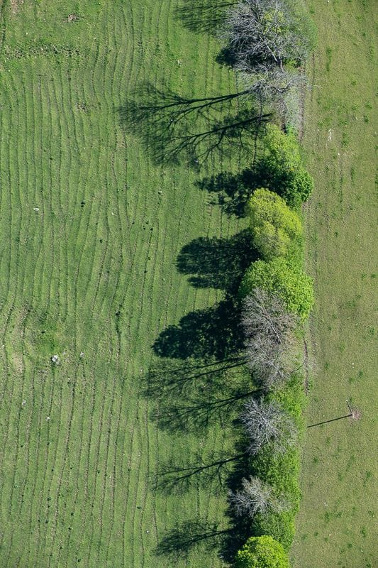 Ballon Bergflug ab Château-d'Oex