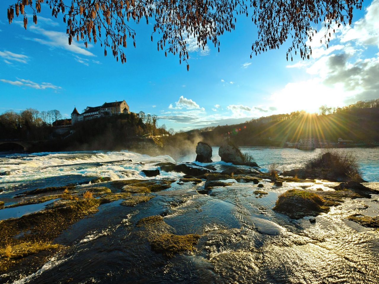 Ab Zürich: Tour im Reisebus zum Rheinfall halber Tag