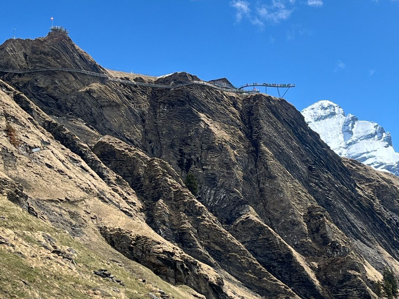Grindelwald First und Bachalpsee private Wanderung mit einem Schweizer Triathleten ab Grindelwald