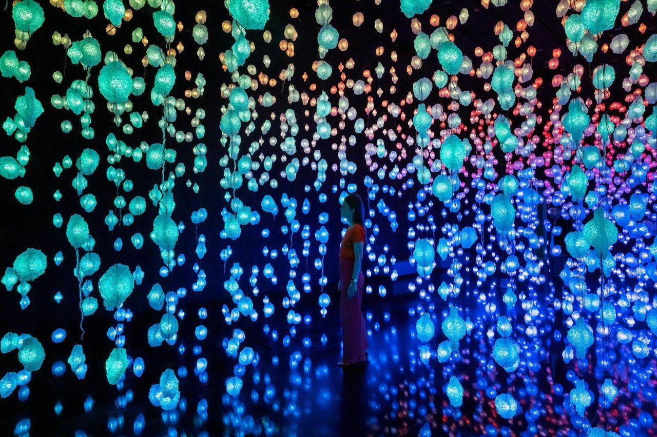 Ticket Kunsthaus Zürich: Sammlung und kleine Ausstellungen