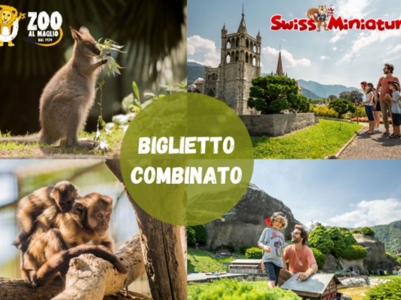 Kombiticket Eintritt Zoo al Maglio und Swissminiatur