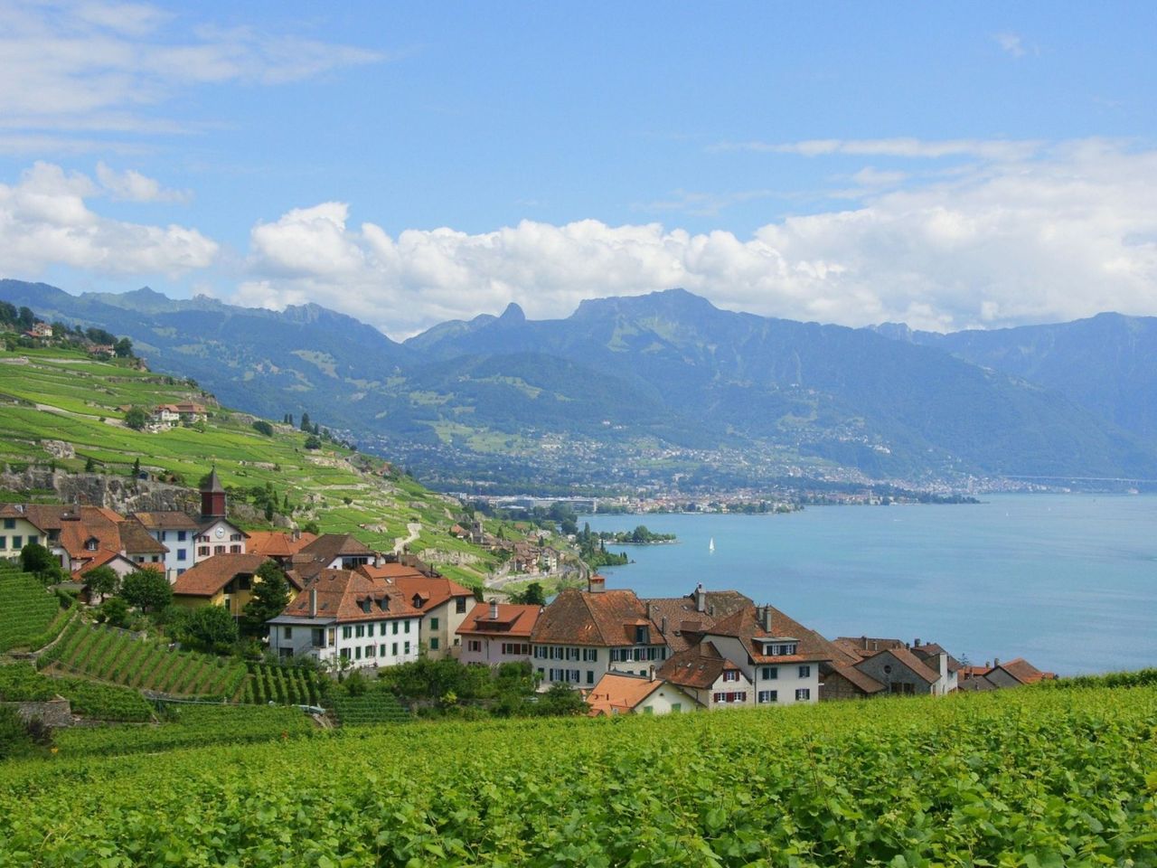 Geführter Ausflug ins Lavaux Weingebiet ab Lausanne