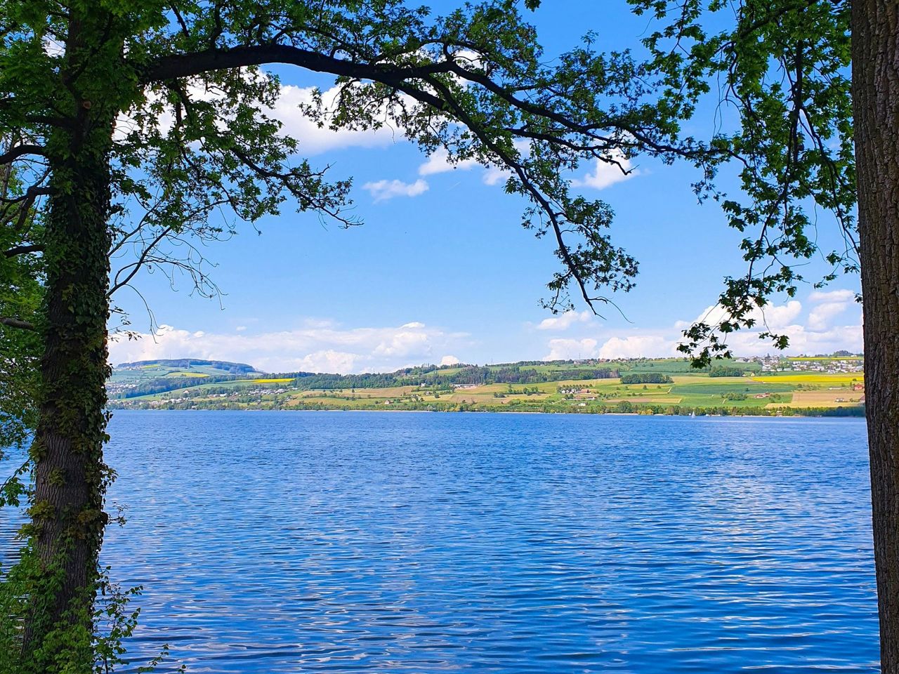 Meisterschwanden