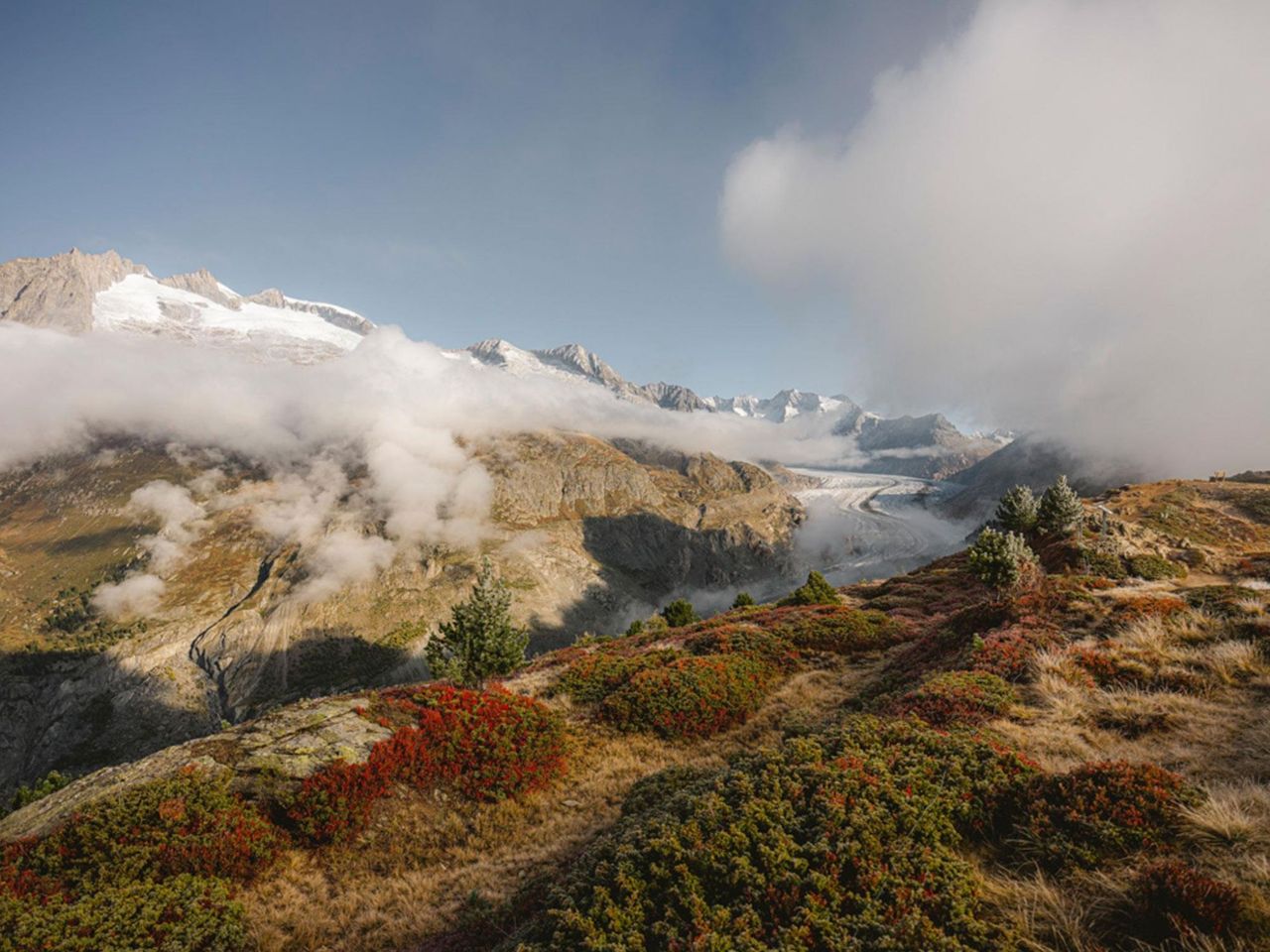 Ticket Riederalp mit Viewpoint Hohfluh/Moosfluh ab Mörel-Filet retour