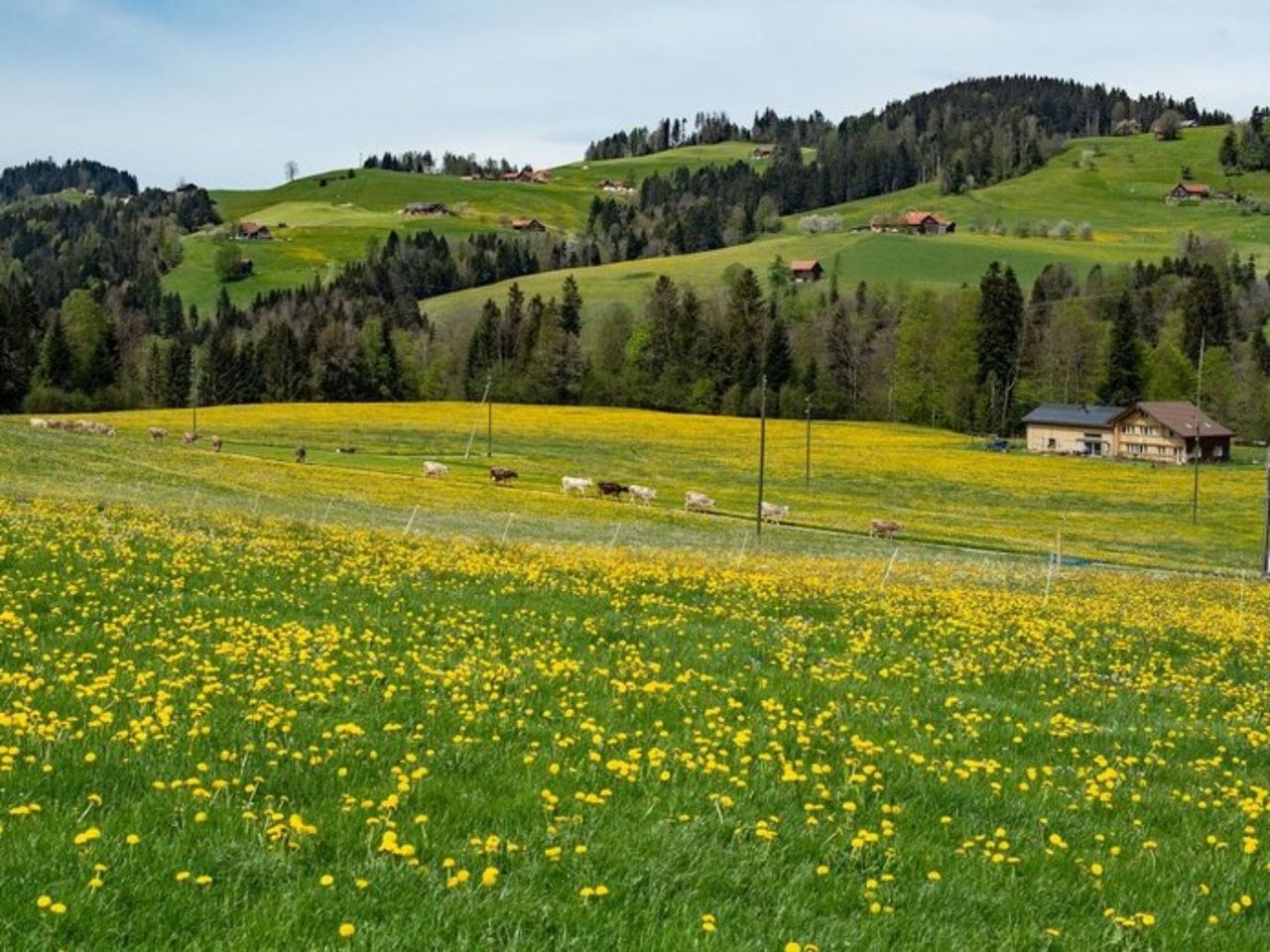From Zurich: Day tour of mountains, farm, and cheese
