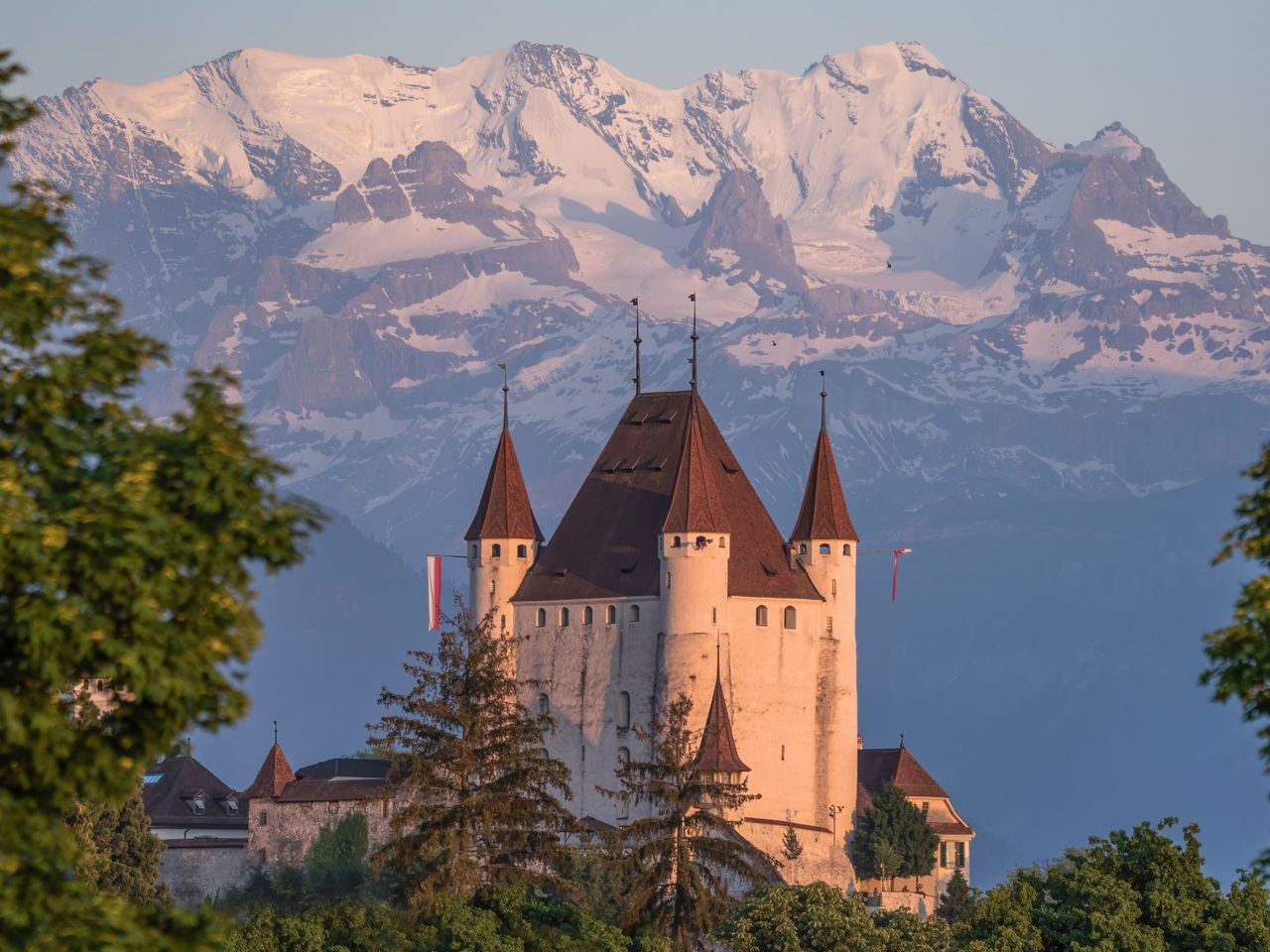 "Hoch zu Ross und doch Konkurs" Führung Schloss Thun für Gruppen