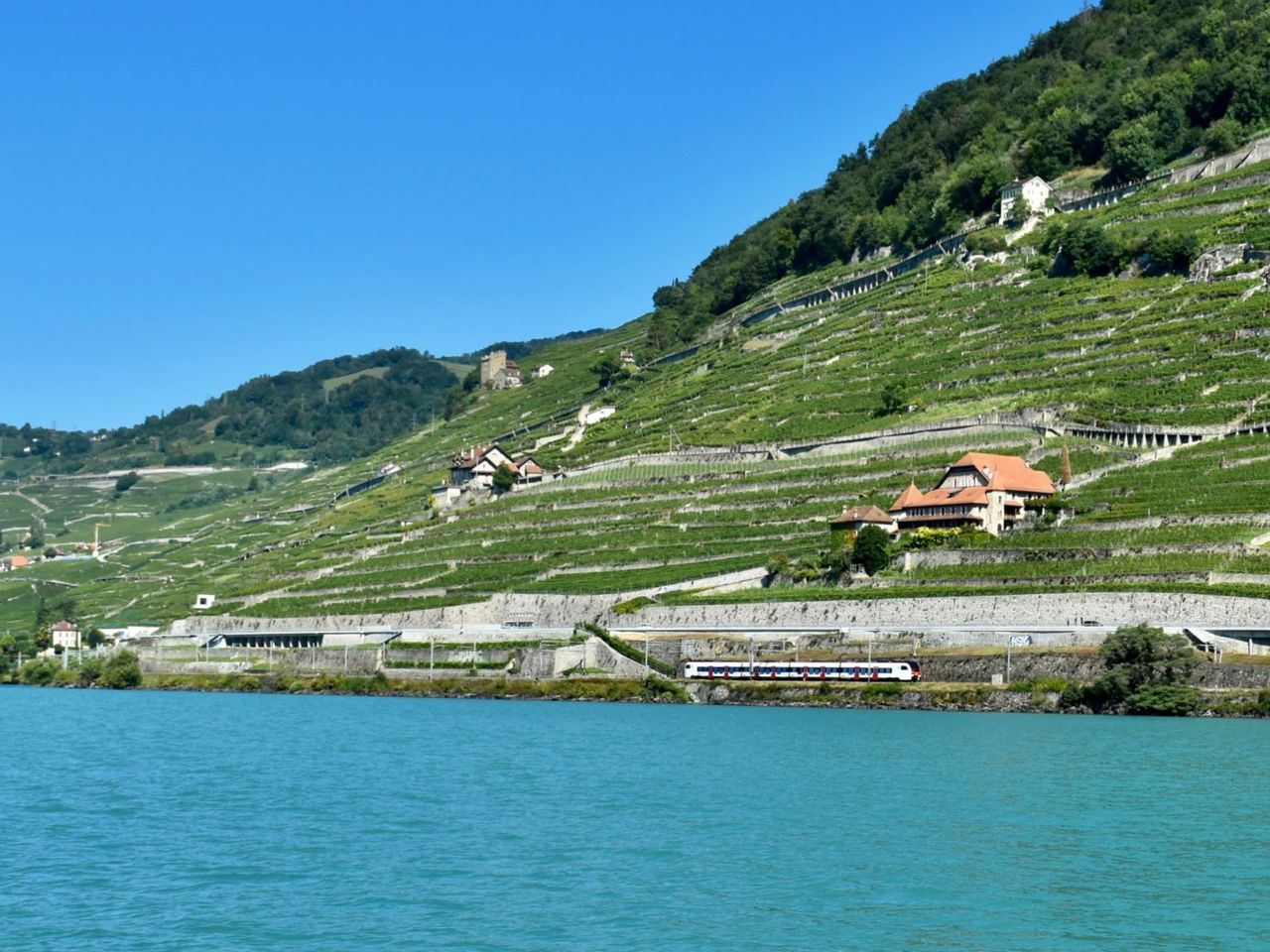 Teambuilding Kajak Tour auf dem Genfersee