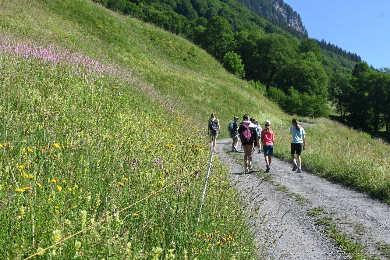 Le mystère du bouquetin dans la vallée de Weisstannen : randonnée-enquête avec un kit de détective