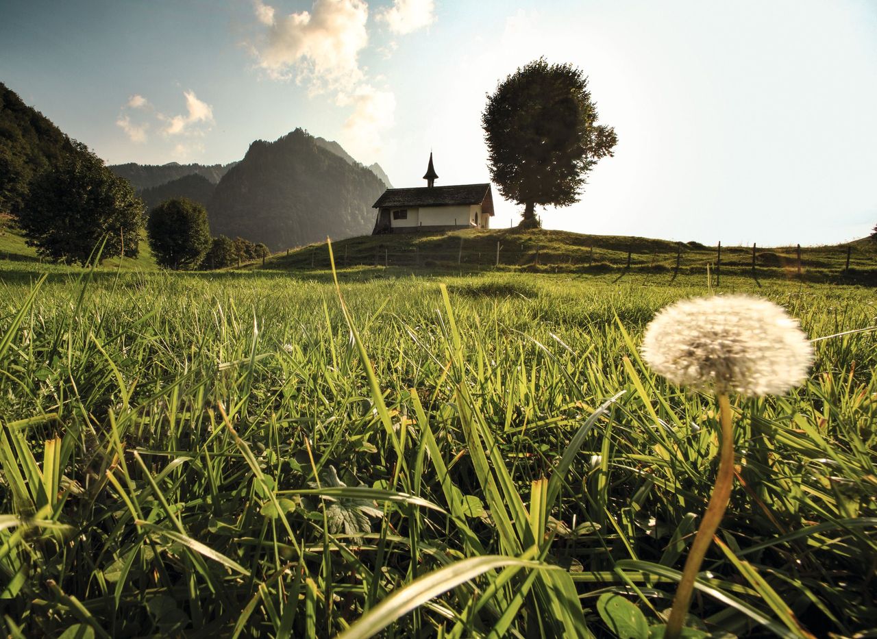 Gruyere