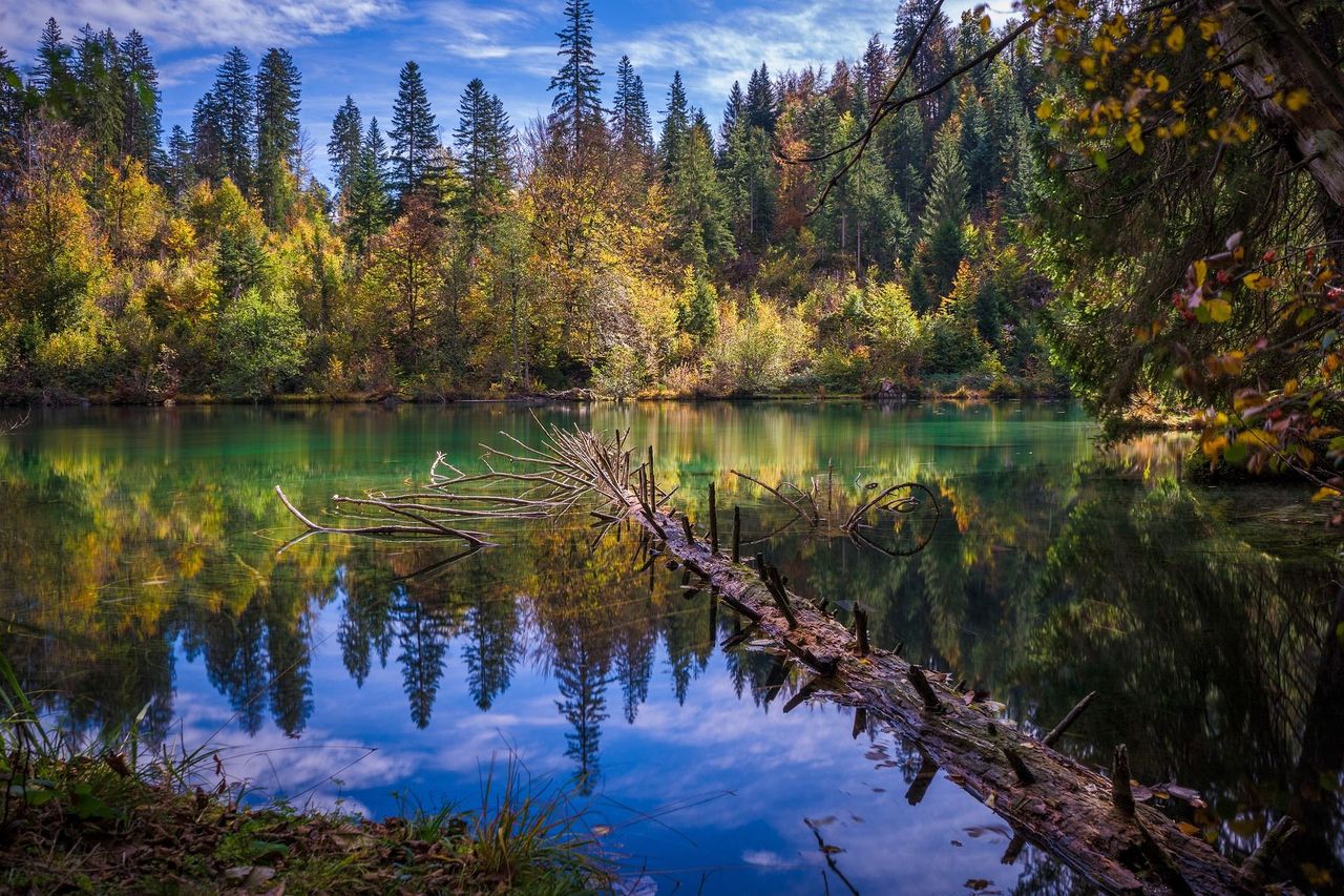 Kulinarische Wanderung “Wald und Wasser” ab Flims