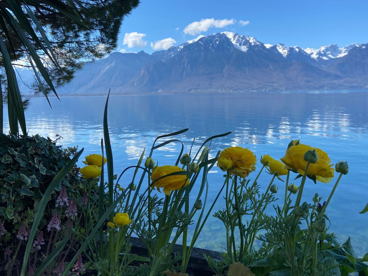 Private Stadtführung mit Bahnfahrt zum Rochers-de-Naye ab Montreux