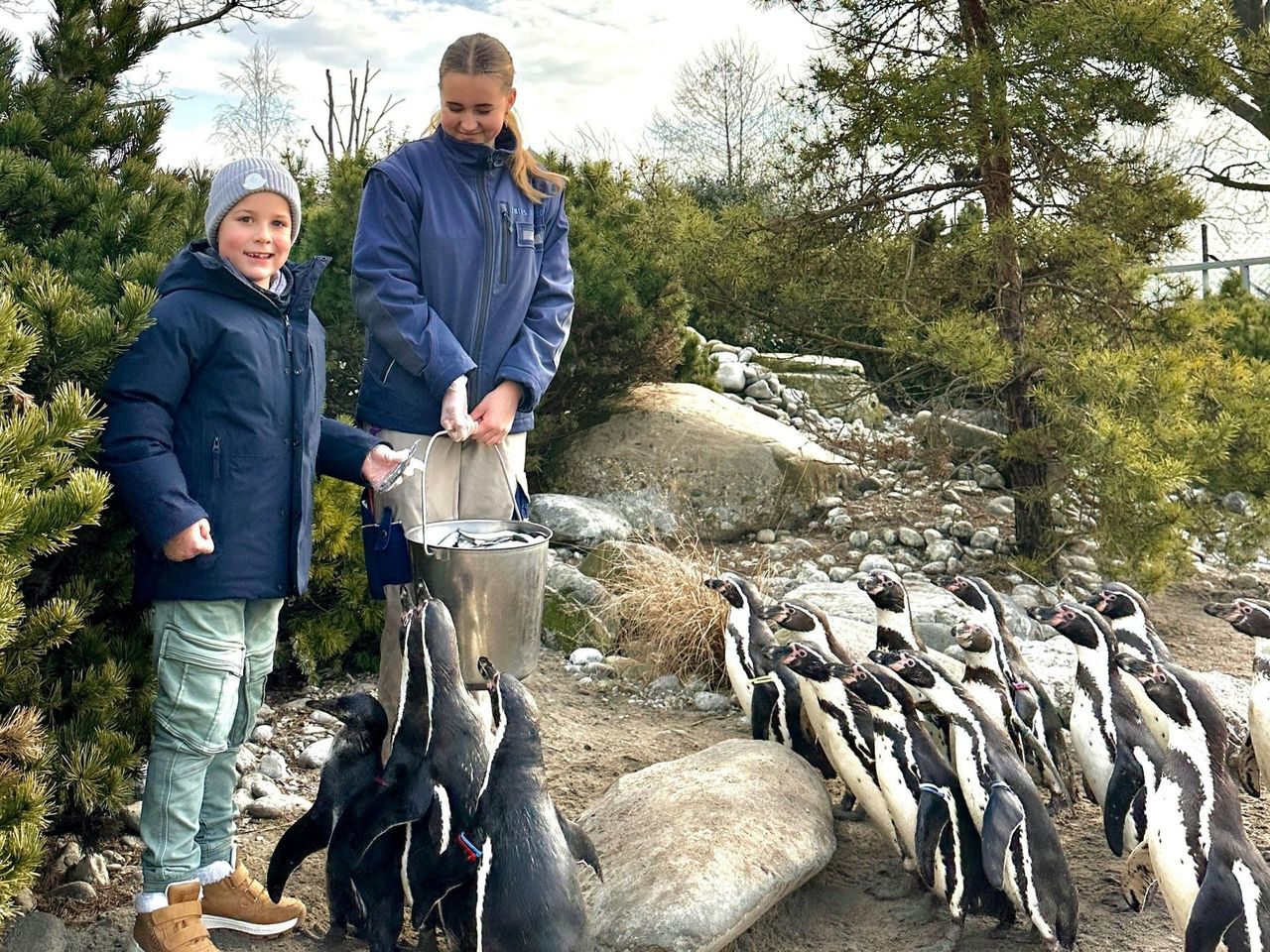 Penguin Feeding at Knies Kinderzoo Rapperswil