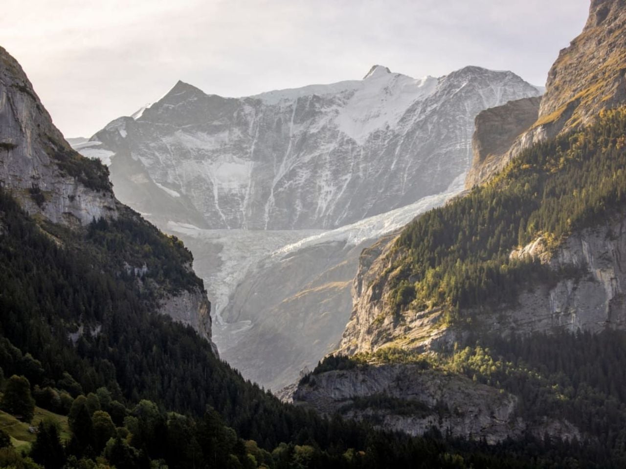 Ticket auf die Pfingstegg ab Grindelwald