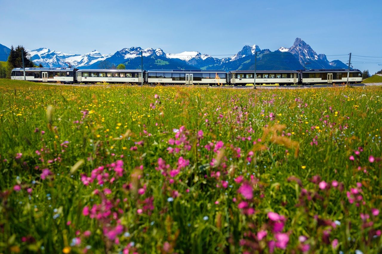Golden Pass Line