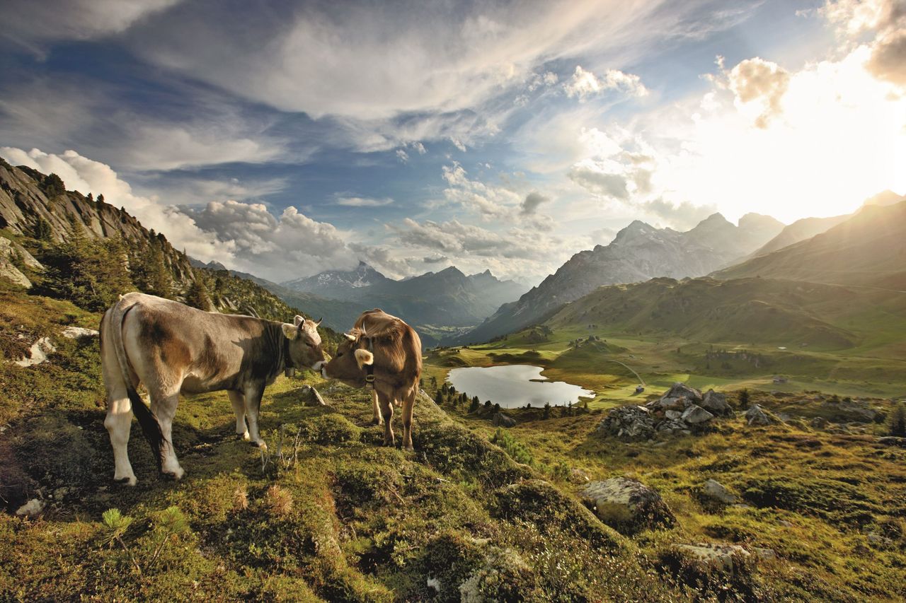 Naturpark Beverin