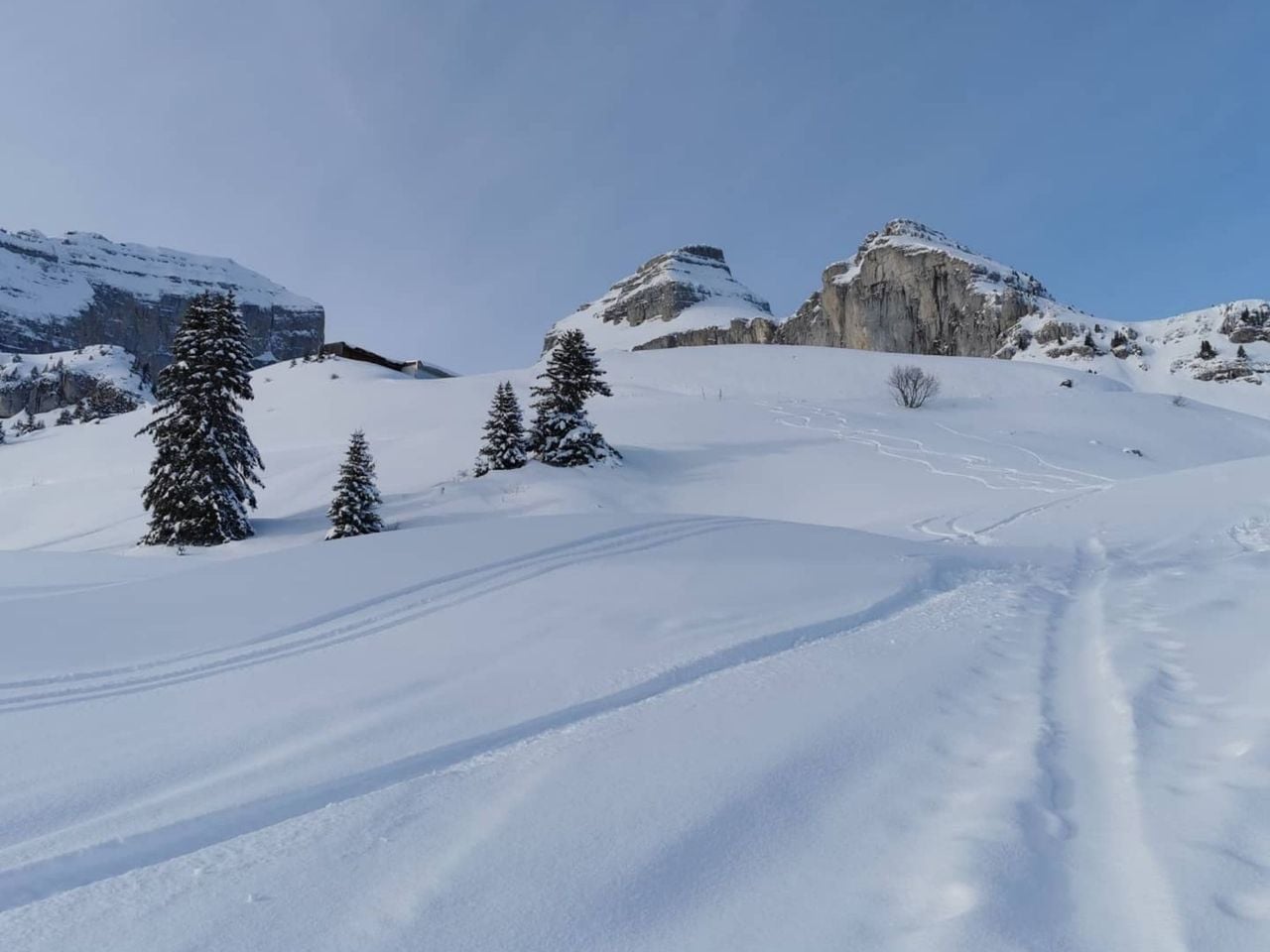 Snowboardkurs privat für Kinder und Erwachsene in Leysin