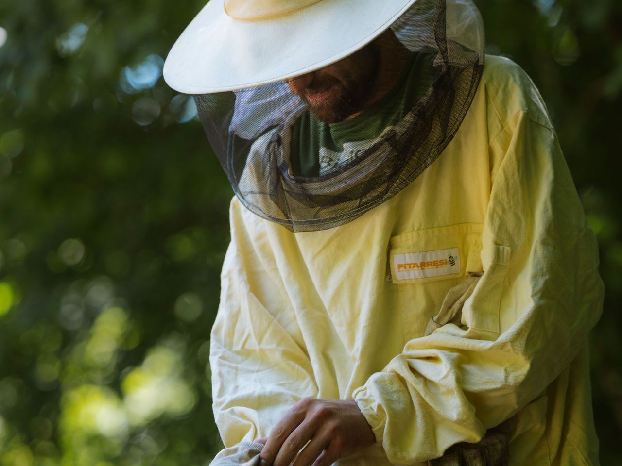 Bienenzucht Erlebnis in Arogno