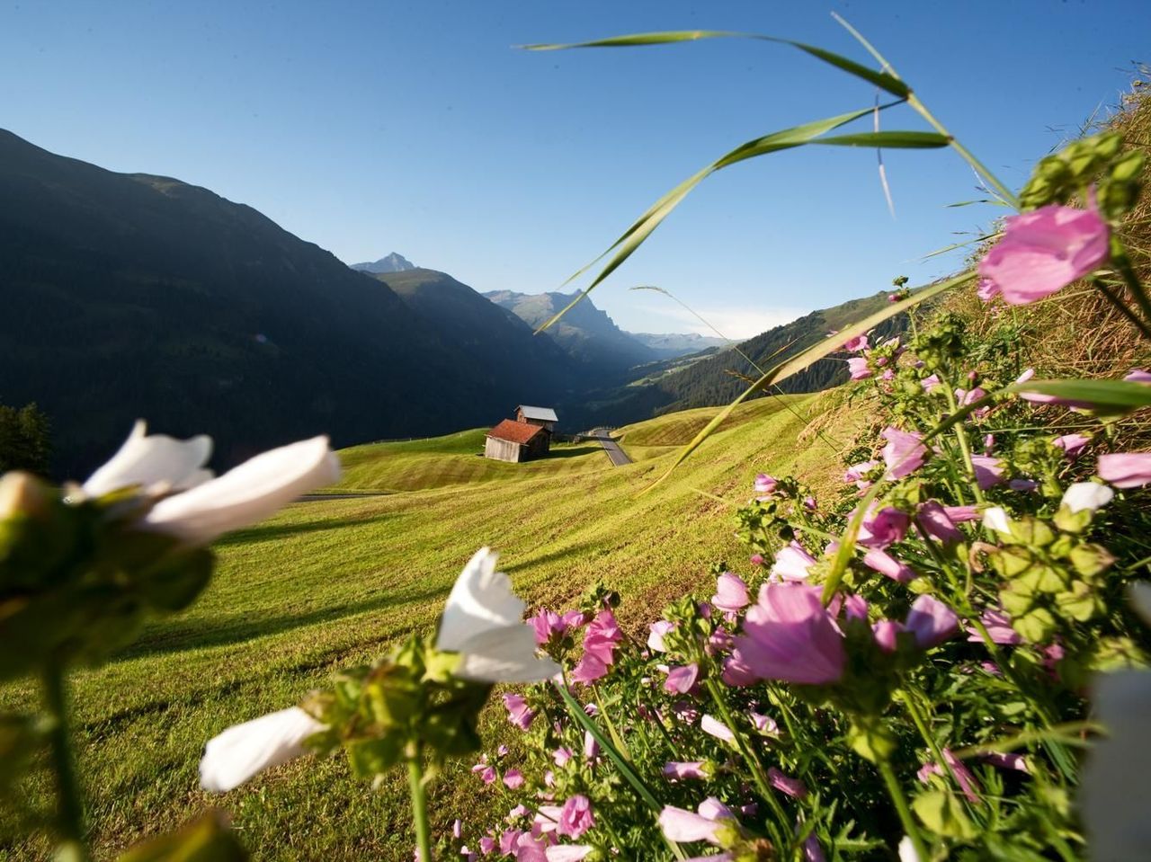 Naturpark Beverin