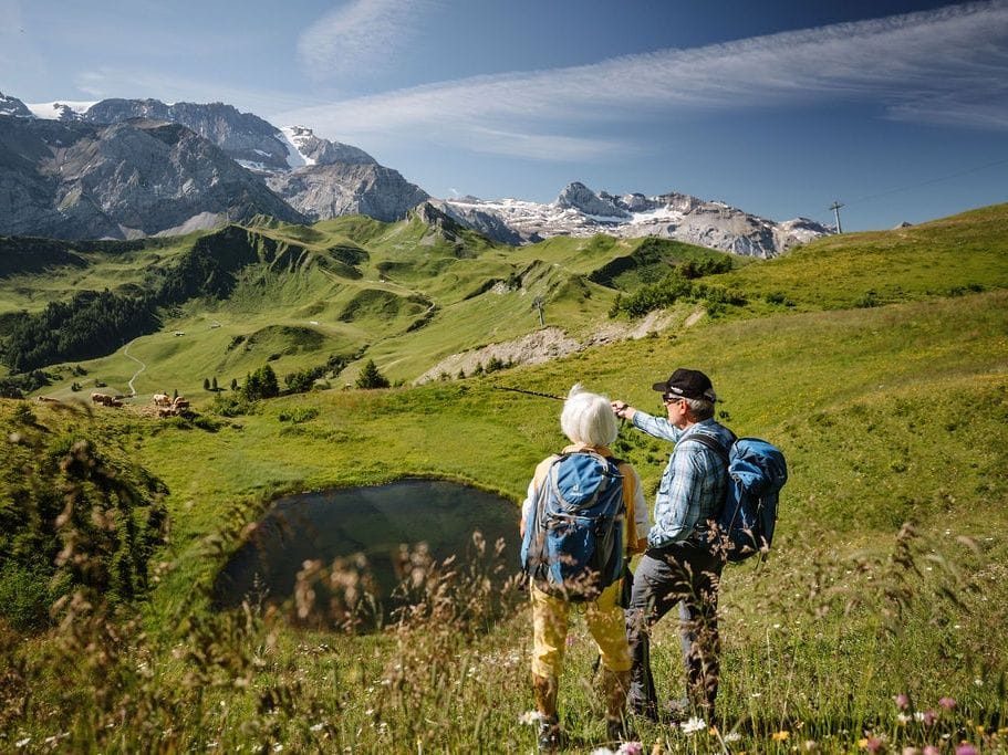Ticket für den Blumenweg am VogellisiBerg in Adelboden