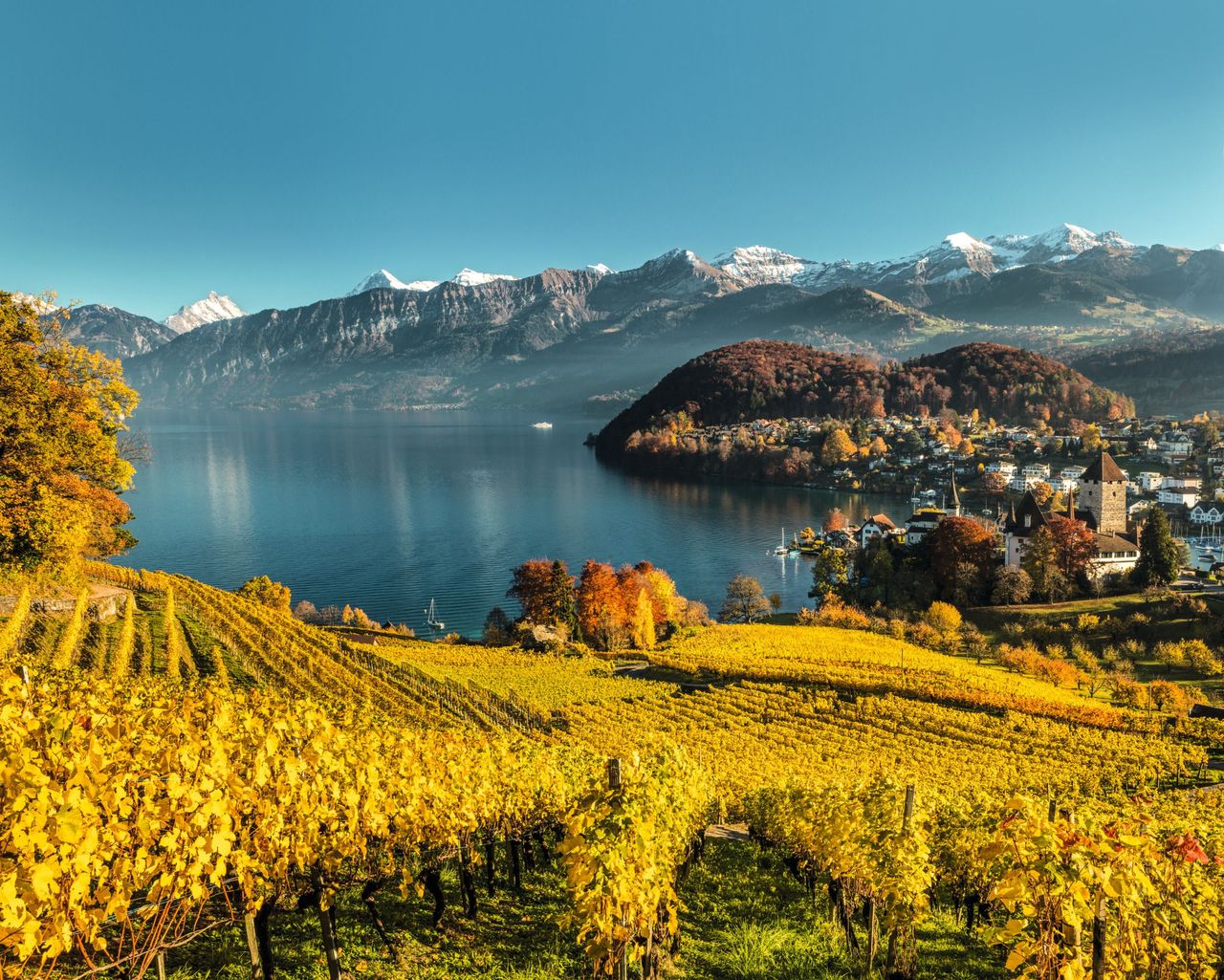 14 Tage Schweiz Spiez