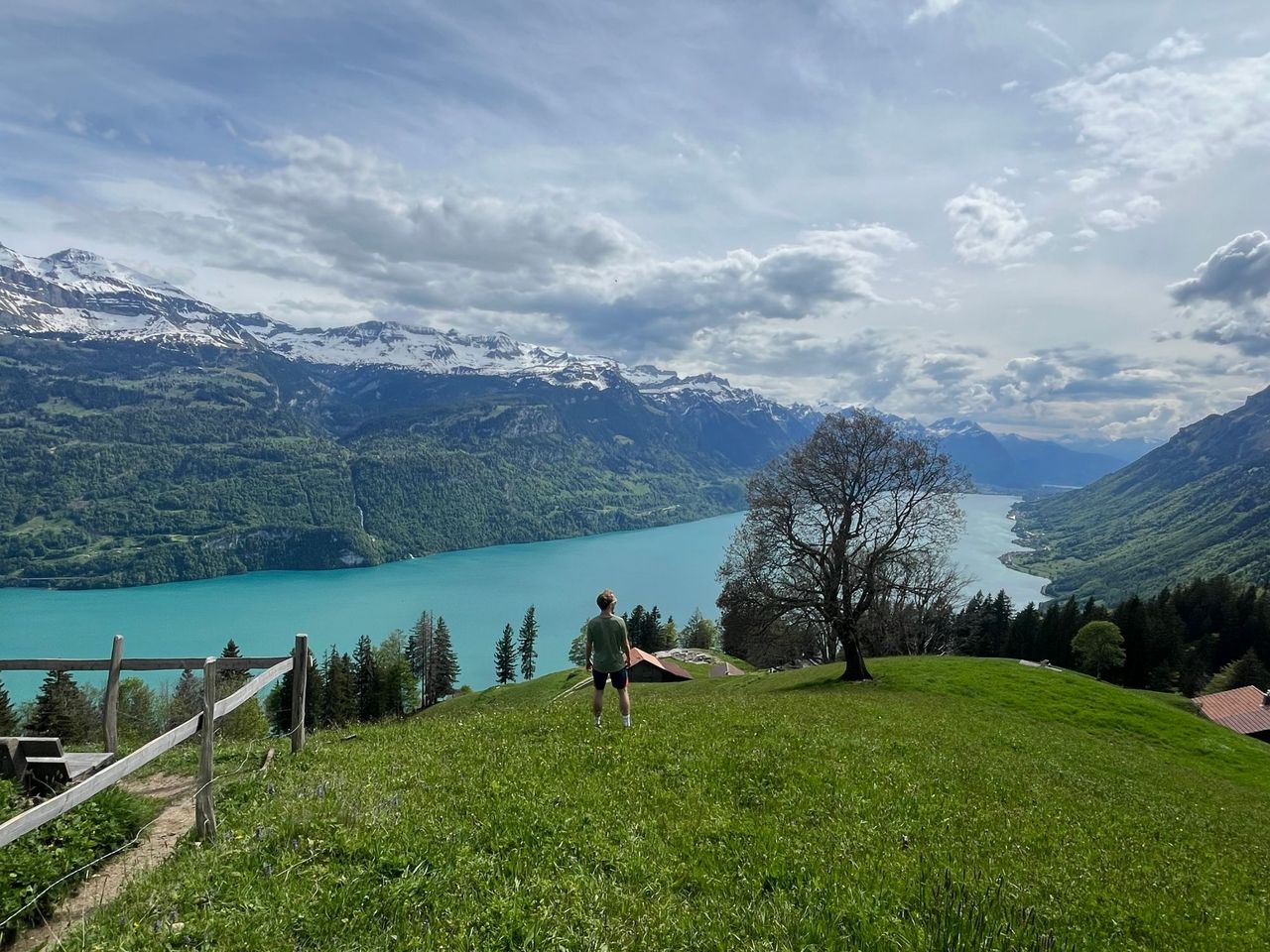 Brienzer Rothorn private Wanderung mit einem Schweizer Triathleten ab Brienz