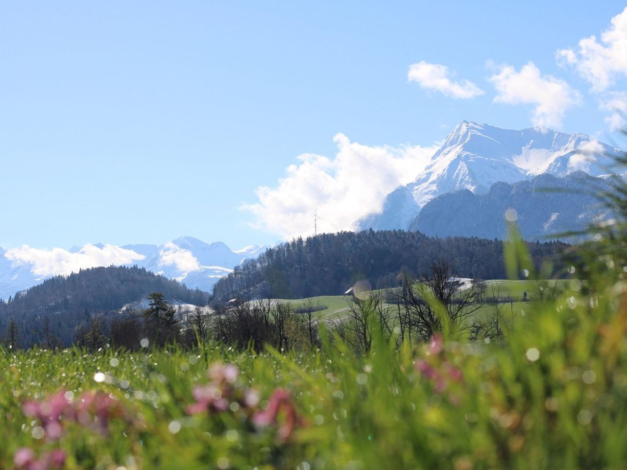 Gurnigel Postbus trip Gantrischregion from Thurnen or Schwarzenburg