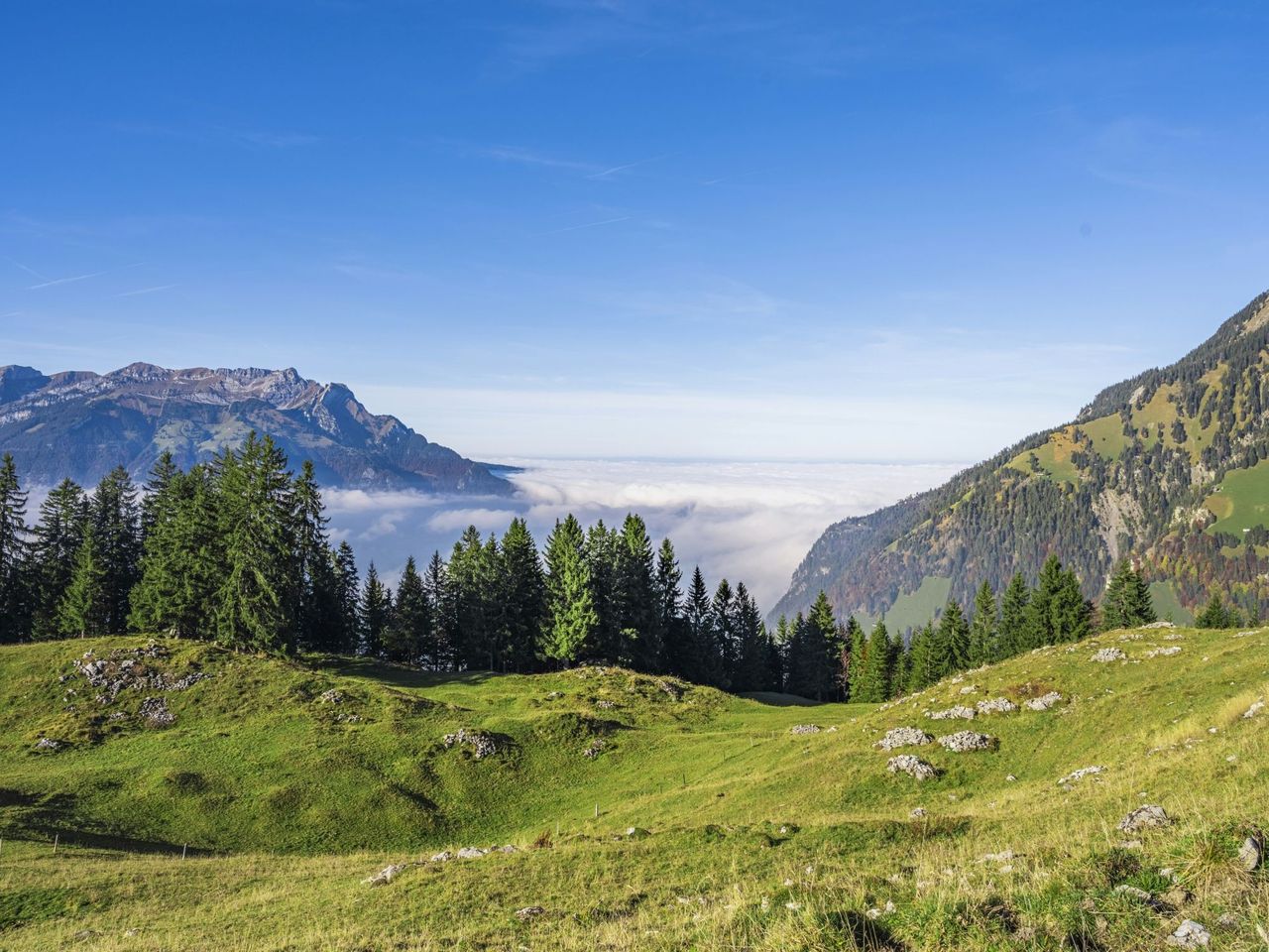 Cable car ticket Niederrickenbach ab Dallenwil