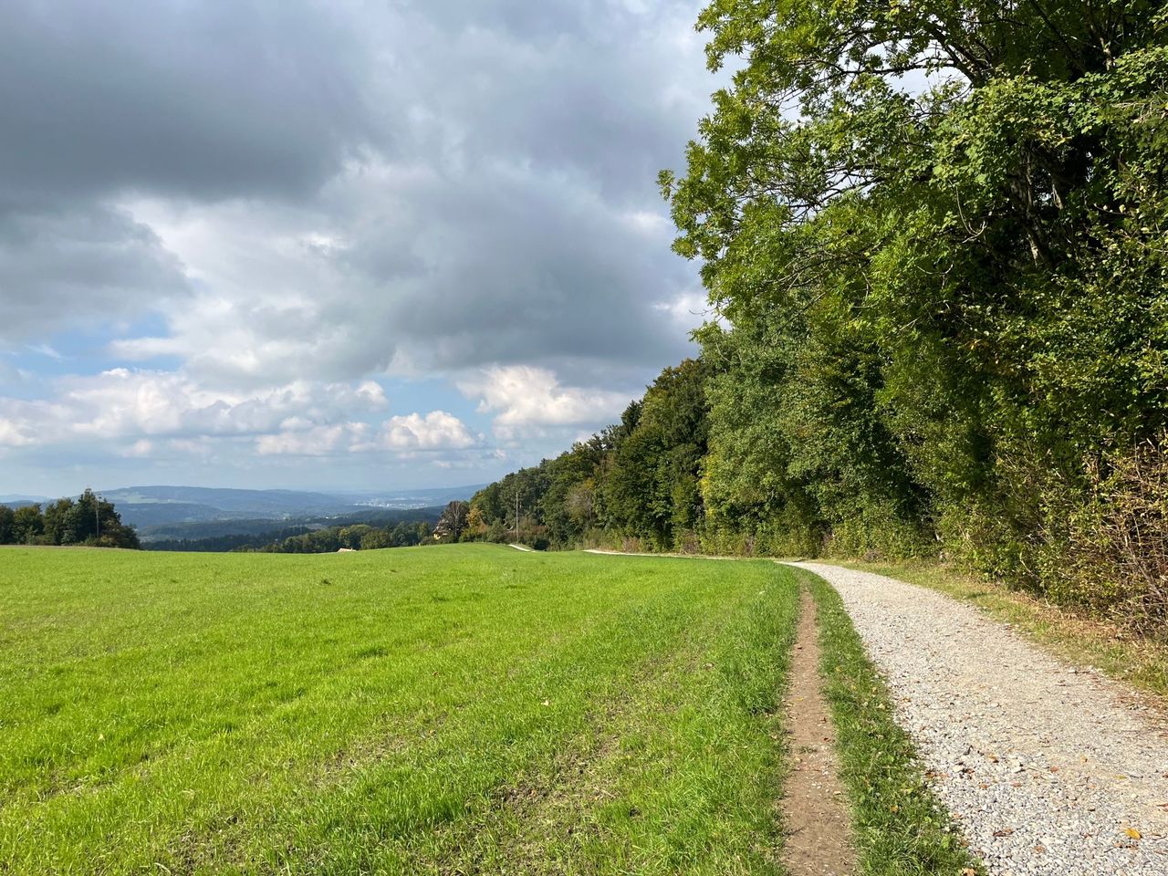 Uetliberg - Felsenegg: Gratwanderung Ausflugsticket ab Zürich HB