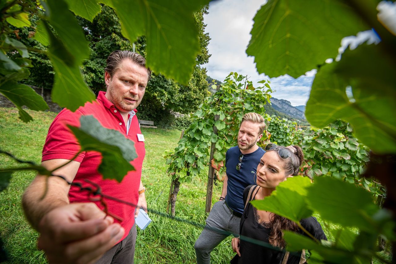 Weinerlebnis Maienfeld und Kunstführung Bad RagARTz