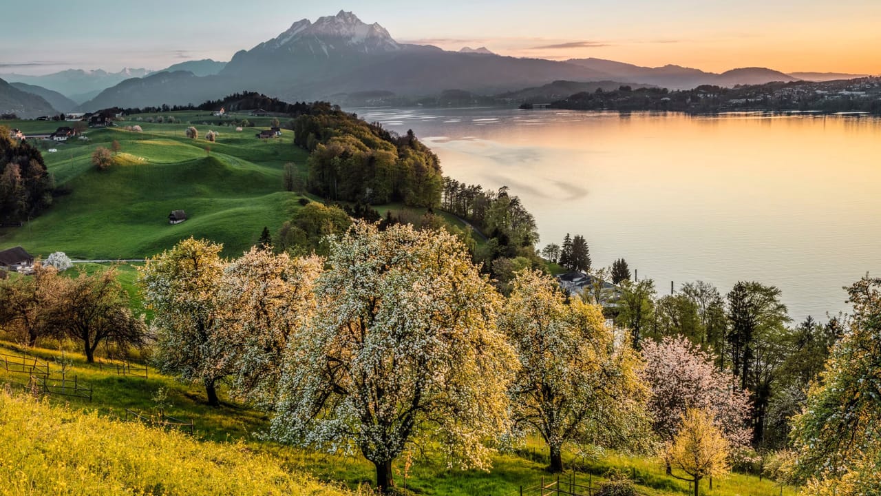From Vitznau: Private day trip to six lakes