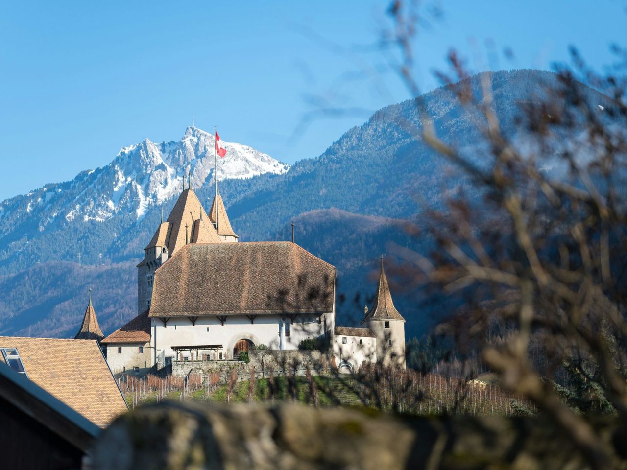 Ab Genf Flughafen: Tagesausflug zu den Salzminen und Schloss Aigle
