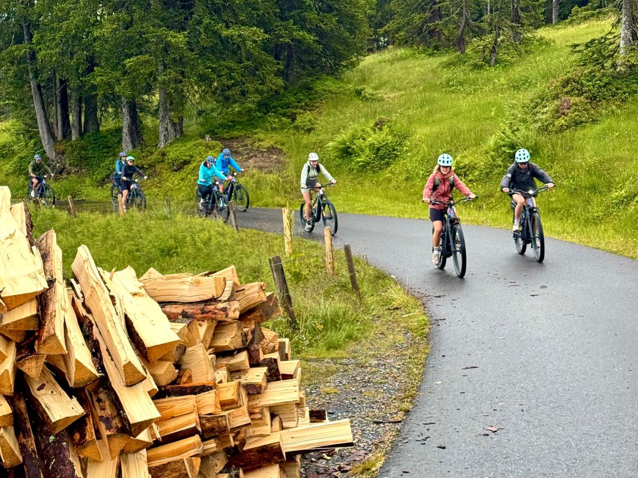 "Jungfrauregion und Käsedegustation" - Private E-Bike-Tour ab Interlaken