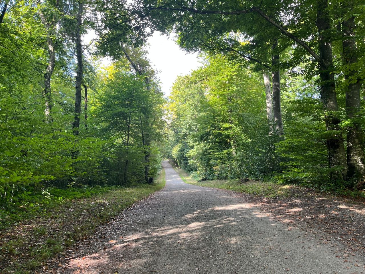 Uetliberg - Felsenegg: Gratwanderung Ausflugsticket ab Zürich HB
