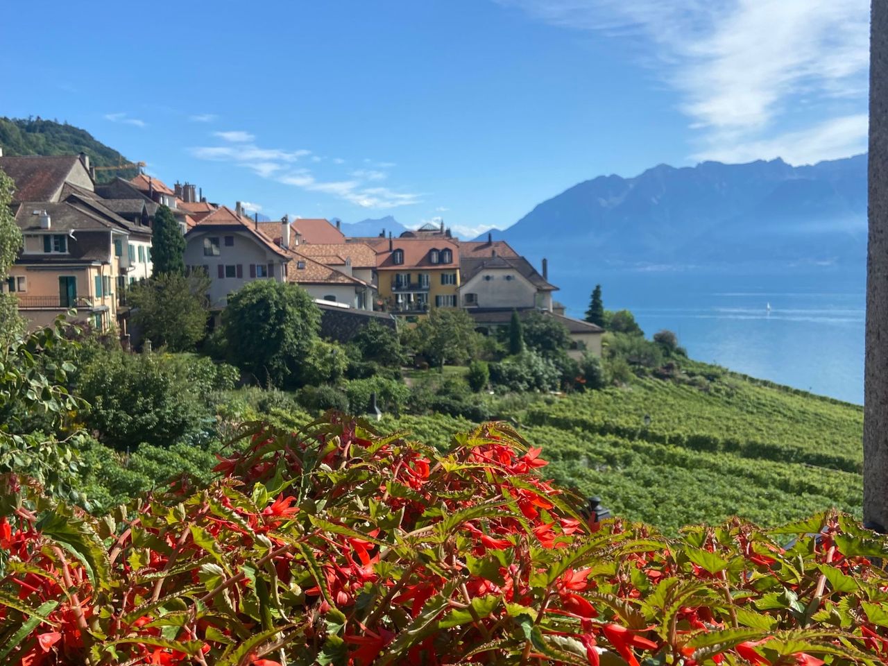 Private Weinwanderung in Lavaux ab Lausanne