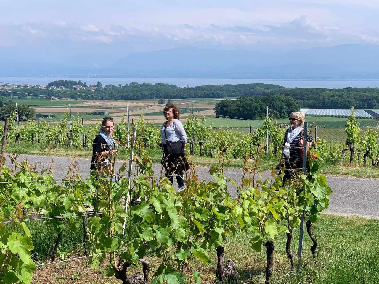 Weinwanderung Weinberge von La Côte für private Gruppen